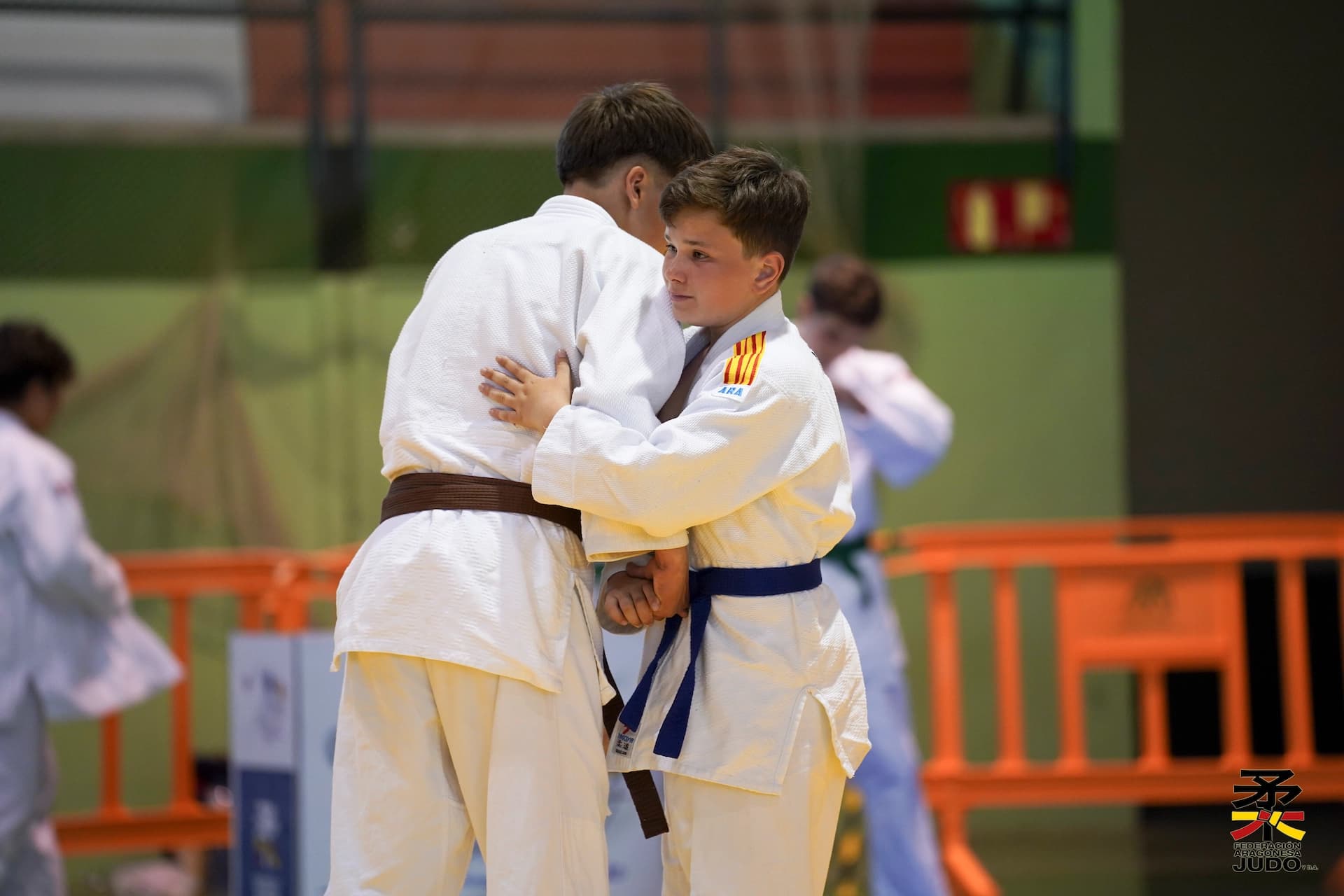 Judokas en acción